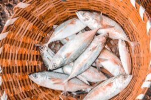 Deze vissoorten zijn het best voor je gezondheid