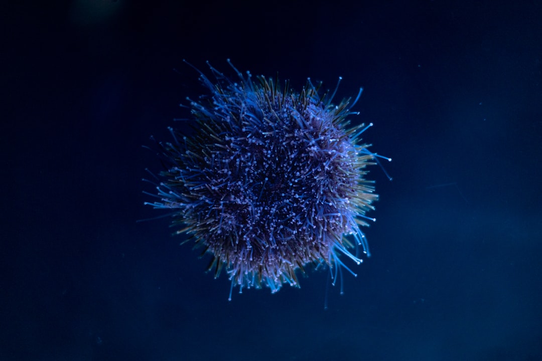 Fris en vol haar na je vijftigste: de mooiste kapsels voor dun haar