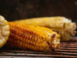 Waarom kiezen voor een kamado barbecue?
